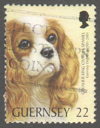 Guernsey Scott 736 Used - Click Image to Close